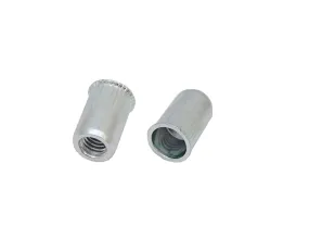 Inserto filettato Liscio RS PRO, M10, Ø foro di fissaggio 13mm